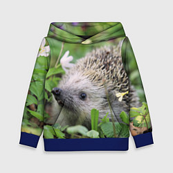 Толстовка-худи детская Лесной ёжик в траве, цвет: 3D-синий