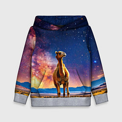 Толстовка-худи детская Верблюд и звездное небо, цвет: 3D-меланж
