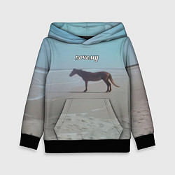 Толстовка-худи детская Лошадь почему мем на берегу, цвет: 3D-черный