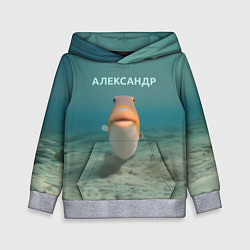 Толстовка-худи детская Рыба - Александр, цвет: 3D-меланж