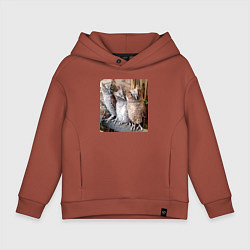 Толстовка оверсайз детская Три совы - мем, цвет: кирпичный