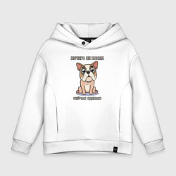 Толстовка оверсайз детская Собака, мем, ничего не понял, цвет: белый