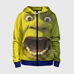 Толстовка на молнии детская Shrek is Yelling, цвет: 3D-синий