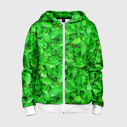 Детская толстовка на молнии Зелёные листья - текстура