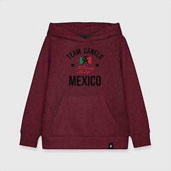 Детская толстовка-худи Team Canelo
