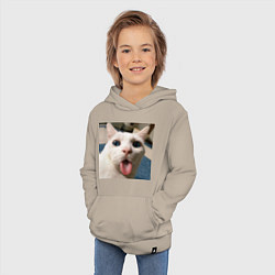 Толстовка детская хлопковая Мем про кота, цвет: миндальный — фото 2