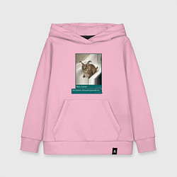 Толстовка детская хлопковая Шлёпа, цвет: светло-розовый