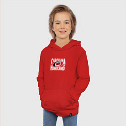 Толстовка детская хлопковая Каролина Харрикейнз, Carolina Hurricanes, цвет: красный — фото 2