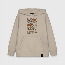 Толстовка детская хлопковая Лесные животные и птицы, цвет: миндальный