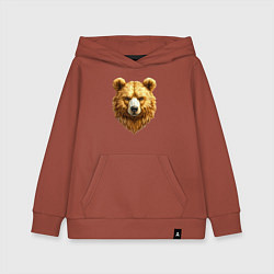 Толстовка детская хлопковая Золотой медведь, цвет: кирпичный