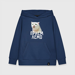 Толстовка детская хлопковая Приемлемо котик, цвет: тёмно-синий