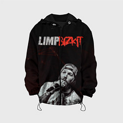 Куртка с капюшоном детская Limp Bizkit, цвет: 3D-черный