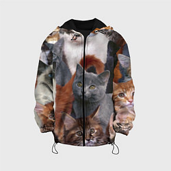 Куртка с капюшоном детская КОТЯТКИ, цвет: 3D-черный