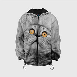 Куртка с капюшоном детская Взгляд котика, цвет: 3D-черный