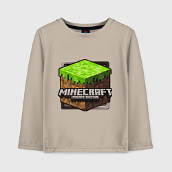 Детский лонгслив Minecraft: Pocket Edition