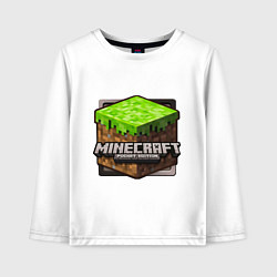 Детский лонгслив Minecraft: Pocket Edition