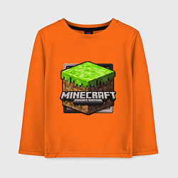 Детский лонгслив Minecraft: Pocket Edition