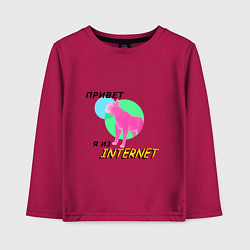 Детский лонгслив Привет я из internet