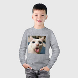 Лонгслив хлопковый детский Мем про кота, цвет: меланж — фото 2