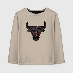 Детский лонгслив Bulls - Jordan