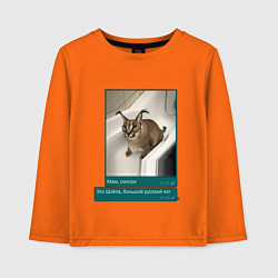 Детский лонгслив Шлёпа