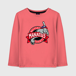 Детский лонгслив Brevard County Manatees - baseball team