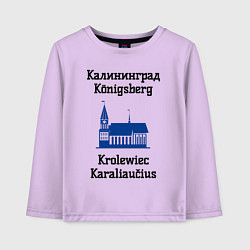 Лонгслив хлопковый детский Калининград, цвет: лаванда