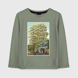 Детский лонгслив Хаяо Миядзаки - studio ghibli