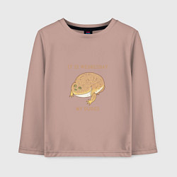 Детский лонгслив Жаба из мема среда мои чуваки