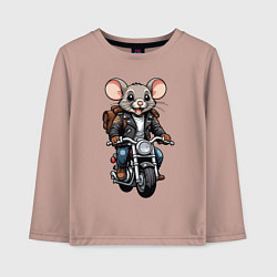 Детский лонгслив Biker mice