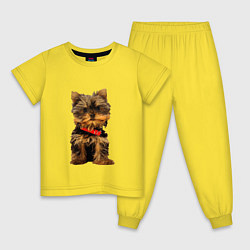 Пижама хлопковая детская Маленький Йорк, цвет: желтый