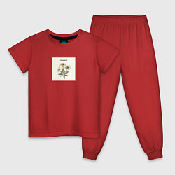Пижама хлопковая детская Ромашки chamomile, цвет: красный