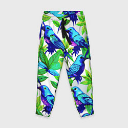 Брюки детские Паттерн маленькое синее колибри, цвет: 3D-принт