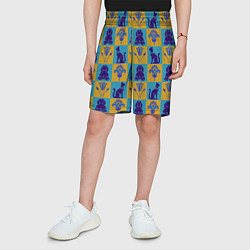 Шорты детские Символы Египта, цвет: 3D-принт — фото 2