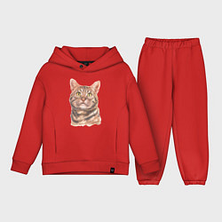 Детский костюм оверсайз Американский короткошерстный, цвет: красный