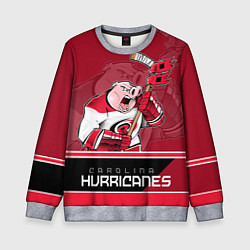 Свитшот детский Carolina Hurricanes, цвет: 3D-меланж