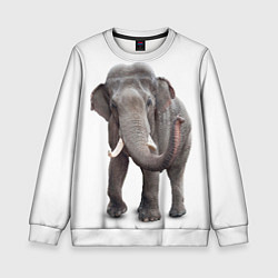 Свитшот детский Большой слон, цвет: 3D-белый