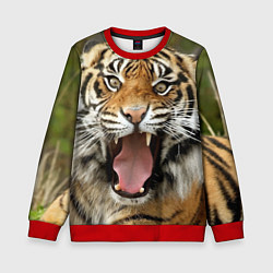 Свитшот детский Удивленный тигр, цвет: 3D-красный