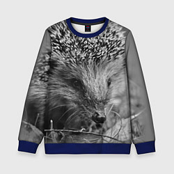Детский свитшот Взгляд ёжика