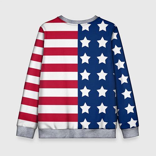Детский свитшот USA Flag / 3D-Меланж – фото 2