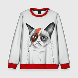 Свитшот детский David Bowie: Grumpy cat, цвет: 3D-красный