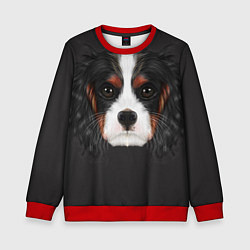 Детский свитшот Cavalier King Charles