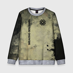 Свитшот детский Breaking Benjamin, цвет: 3D-меланж