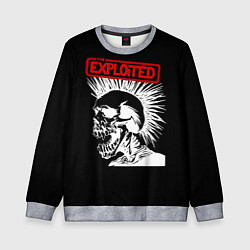 Детский свитшот The Exploited