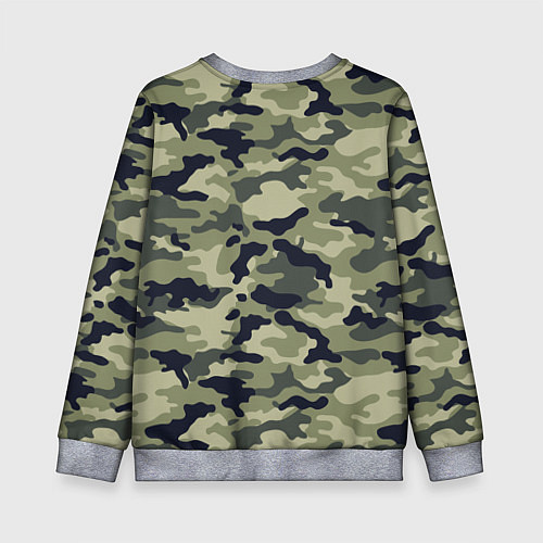Детский свитшот Пограничные Войска камуфляж / 3D-Меланж – фото 2
