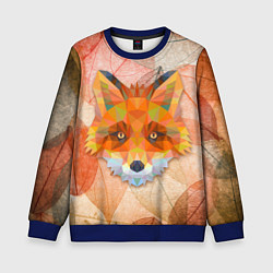 Свитшот детский Fox, цвет: 3D-синий