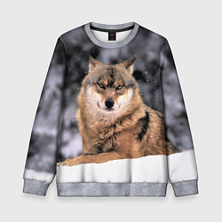 Свитшот детский Wolf Волк, цвет: 3D-меланж