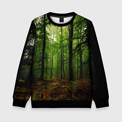 Детский свитшот Лес