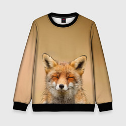 Свитшот детский Милая лисичка, цвет: 3D-черный