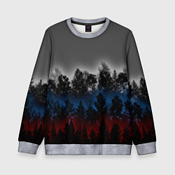 Детский свитшот Флаг из леса